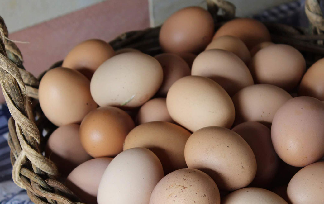 A basket of eggs to be sold from a farm