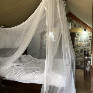 A Mosquito Net