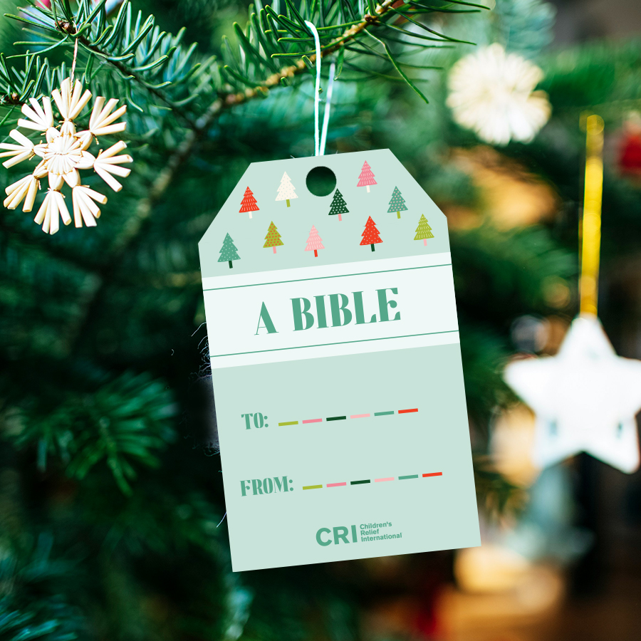 Give the gift of a bible this Christmas