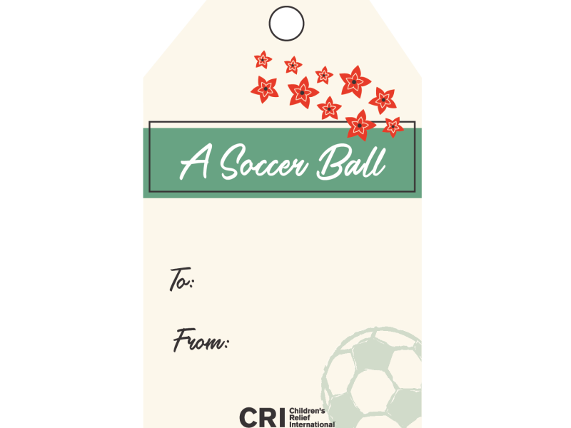 Copy of a soccer ball