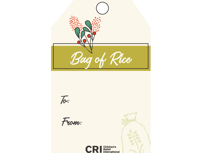 Copy of bag of rice