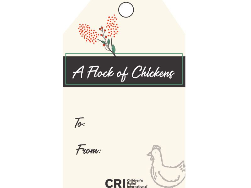 Copy of flock of chicken